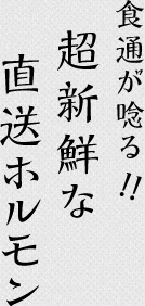 食通が唸る！超新鮮な直送ホルモン